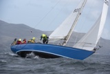 scintilla of the sea 920y whyw25 750_6319